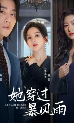 短剧她穿过暴风雨海报