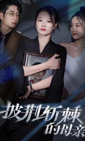 短剧披荆斩棘的母亲海报