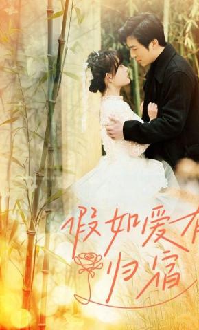 短剧假如爱有归宿海报