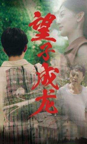 短剧《望子成龙》海报