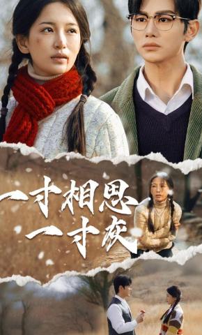 短剧《一寸相思一寸灰》海报