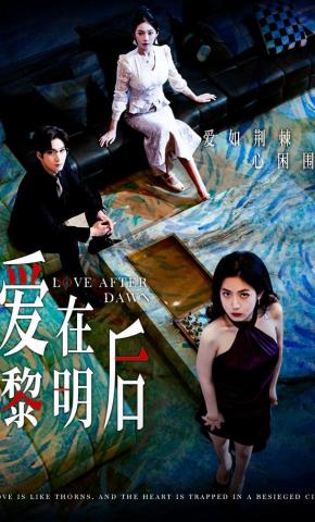 短剧《爱在黎明后》海报