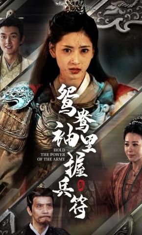 短剧《鸳鸯袖里握兵符》海报