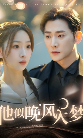 短剧《他似晚风入梦》海报