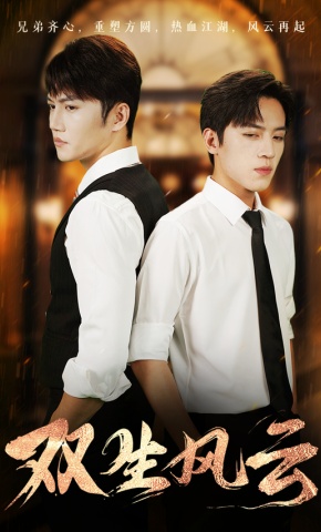 短剧《双生风云》海报