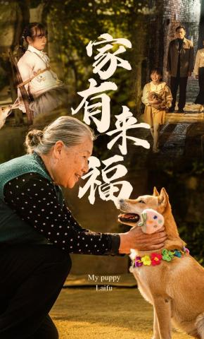 短剧《家有来福 》海报