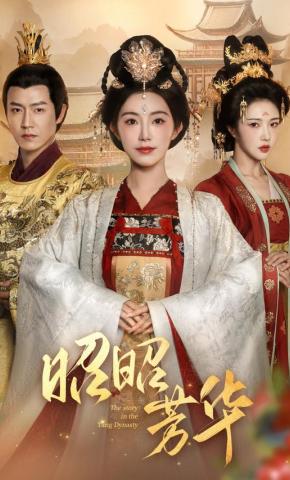 短剧《昭昭芳华》海报