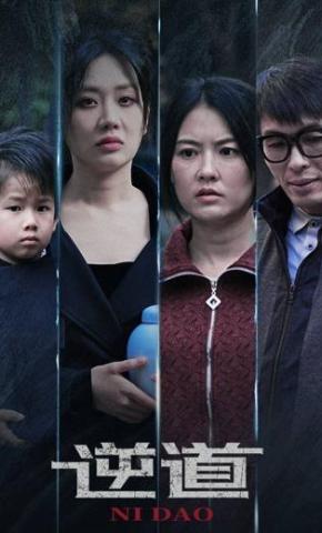 短剧《逆道》海报