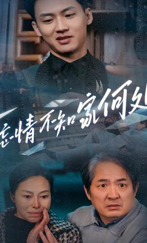 短剧忘情不知家何处海报