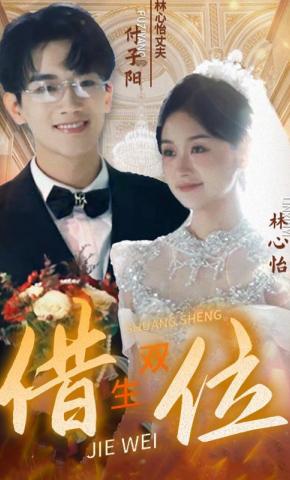 短剧《借位双生》海报