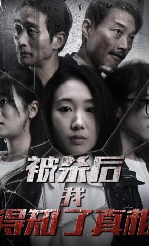 短剧被杀后我得知了真相海报