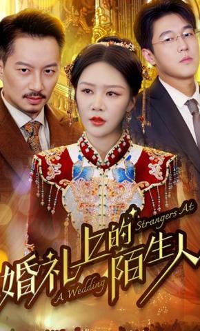 短剧《婚礼上的陌生人》海报