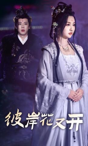 短剧《彼岸花又开》海报