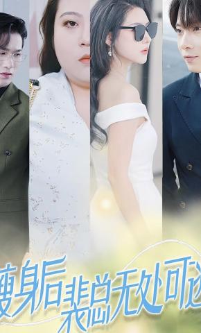 短剧《瘦身后裴总无处可逃》海报