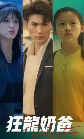 短剧狂龙奶爸海报