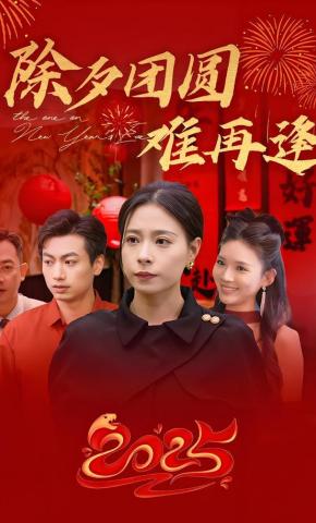 短剧除夕团圆难再逢海报