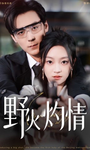 短剧《野火灼情》海报