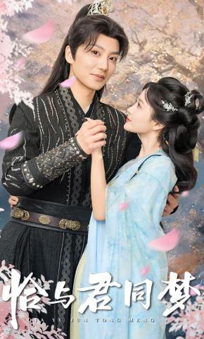 短剧《恰与君同梦》海报