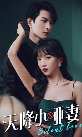 短剧《天降小哑妻》海报