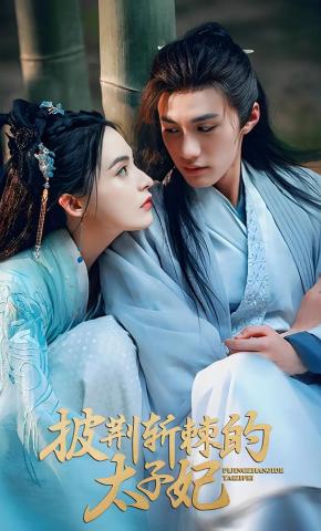 短剧披荆斩棘的太子妃海报