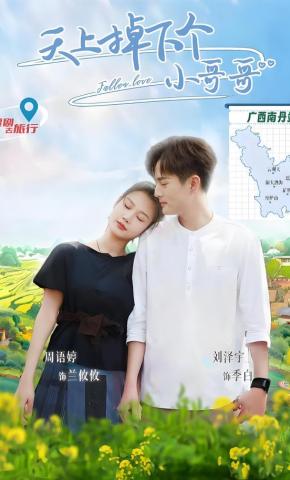 短剧《天上掉下个小哥哥》海报