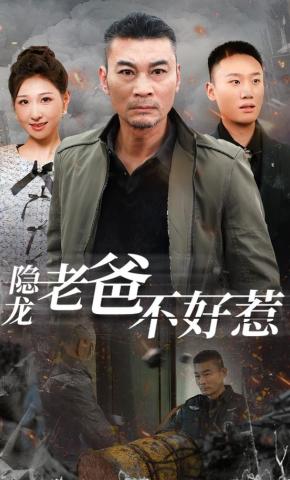 短剧《隐龙老爸不好惹》海报