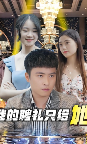 短剧《我的聘礼只给她》海报