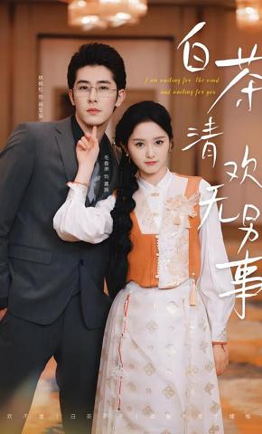 短剧《白茶清欢无别事》海报