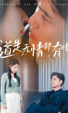 短剧《道是无情却有晴》海报