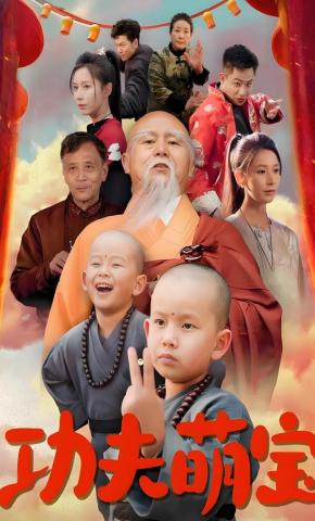 短剧《功夫萌宝》海报