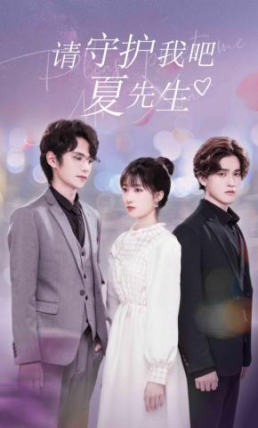 短剧《请守护我吧夏先生》海报