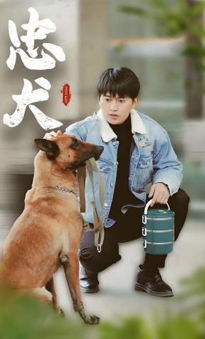 短剧《忠犬》海报