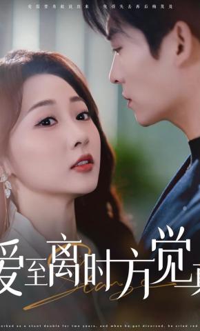 短剧《爱至离时方觉真》海报
