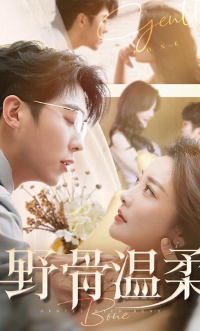 短剧《野骨温柔》海报