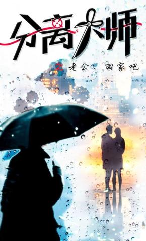 短剧分离大师之老公回家吧海报