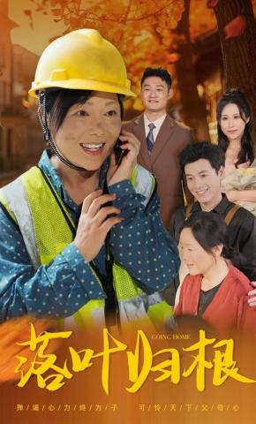 短剧落叶归根海报