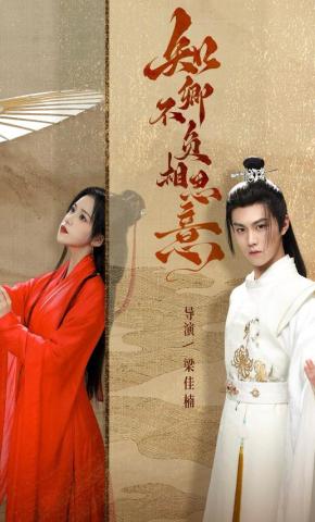 短剧《知卿不负相思意》海报