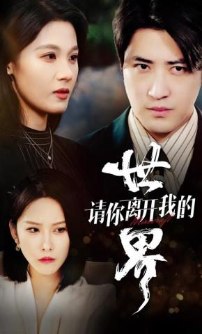 短剧请你离开我的世界海报