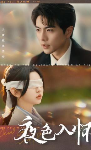 短剧《夜色入怀》海报