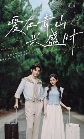 短剧《爱在青山兴盛时》海报