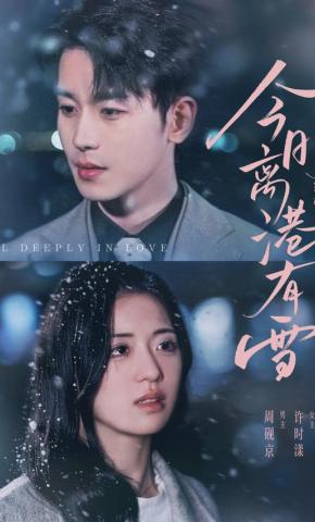 短剧《今日离港有雪》海报