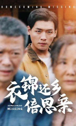 短剧衣锦还乡倍思亲海报