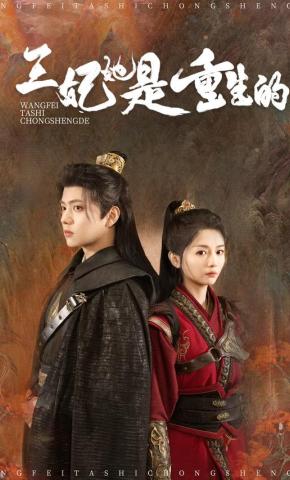 短剧《王妃她是重生的》海报