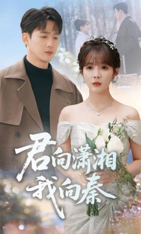 短剧《君向潇湘，我向秦》海报