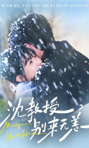 短剧沈教授，别来无恙海报