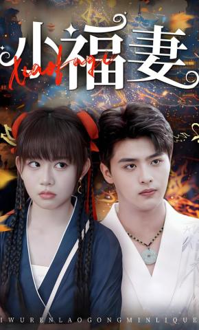 短剧小福妻海报