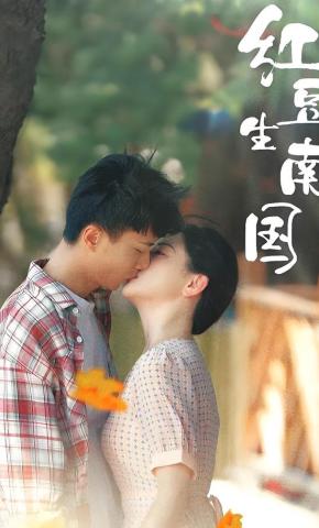 短剧红豆生南国海报