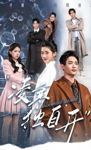 短剧《凌寒独自开》海报