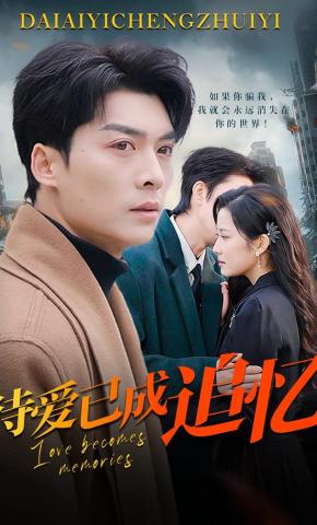 短剧待爱已成追忆海报