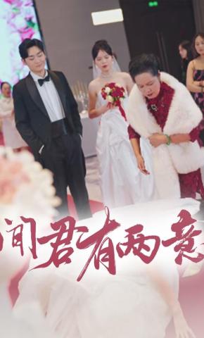 短剧《闻君有两意》海报